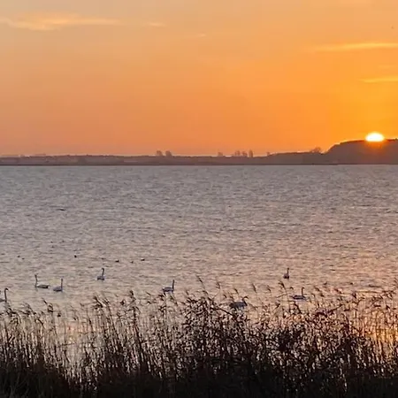 Lieblingsplatz Ruegen Mit Meerblick, Sauna & Kamin Alt Reddevitz