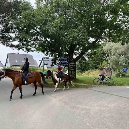 Lieblingsplatz Ruegen Mit Meerblick, Sauna & Kamin アパート