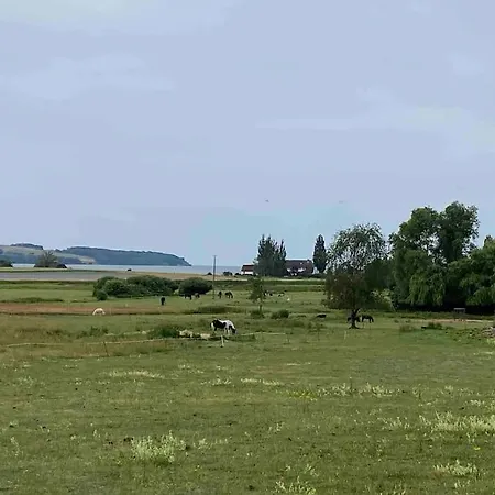 Lieblingsplatz Ruegen Mit Meerblick, Sauna & Kamin アパート Alt Reddevitz