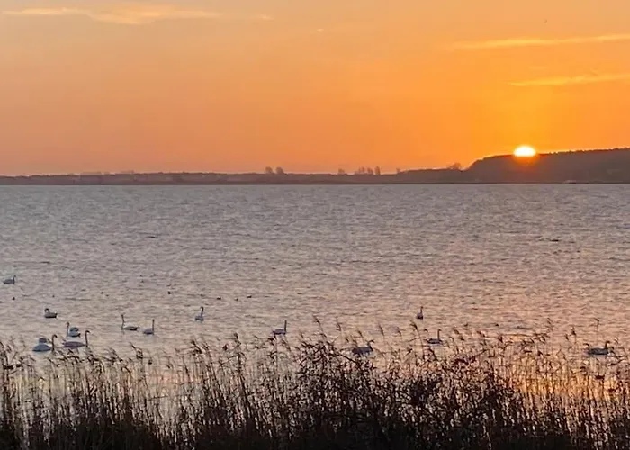 Lieblingsplatz Ruegen Mit Meerblick, Sauna & Kamin Alt Reddevitz
