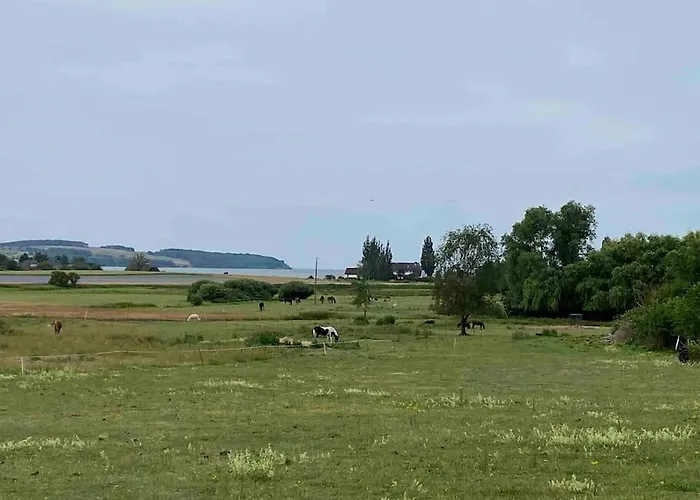 Lieblingsplatz Ruegen Mit Meerblick, Sauna & Kamin Apartment Alt Reddevitz