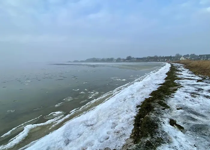 Lieblingsplatz Ruegen Mit Meerblick, Sauna & Kamin Apartment Alt Reddevitz